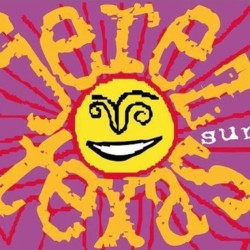 Sun 2009